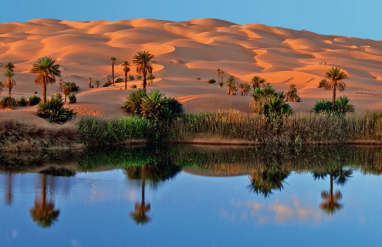 In der Wüste von Abu Dhabi