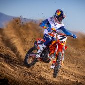 Die KTM 450 SX-F und die KTM 250 SX-F FACTORY EDITIONS 2025 stehen in den Startlöchern