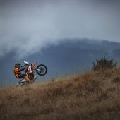 KTM bringt die 390 ADVENTURE auf den Markt - mit der begehrten "R" Version!